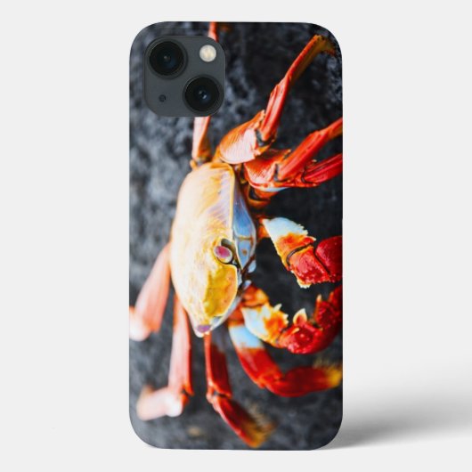 黒い溶岩の石のサリーのlightfootのカニ Case-Mate iPhoneケース (裏面)