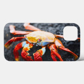 黒い溶岩の石のサリーのlightfootのカニ Case-Mate iPhoneケース (裏面 (横))
