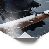 黒い烏 フォトプリント            (角)