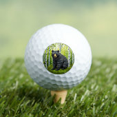 黒い熊が樺の木林に ゴルフボール (インサイチュ 木)