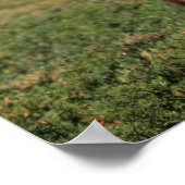 黒い熊が直立して立っていた ポスター (角)