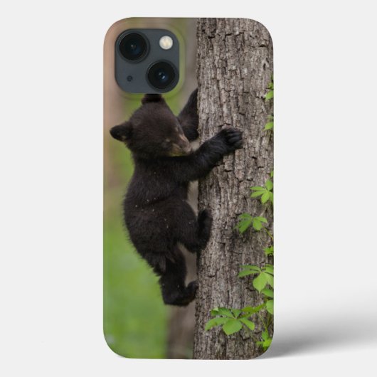 黒い熊の子どもの木登り Case-Mate iPhoneケース (裏面)