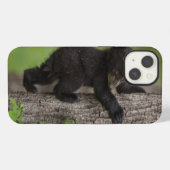 黒い熊の子どもの木登り iPhoneケース (裏面横)
