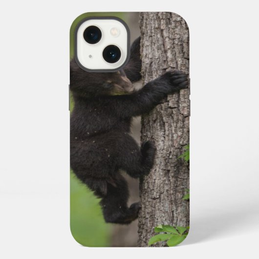 黒い熊の子どもの木登り iPhoneケース (裏面)