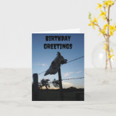 黒い牛のスカル カード (黄色い花)