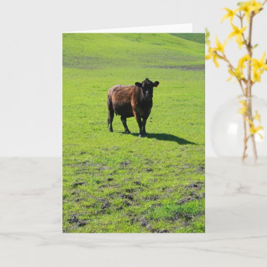 黒い牛挨拶状、メッセージカード カード (黄色い花)
