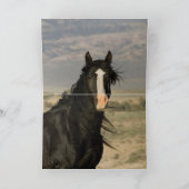 黒い牡馬の野馬の挨拶状 カード (内部)