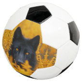 黒い犬と素晴らし金ゴールド サッカーボール (3/4)