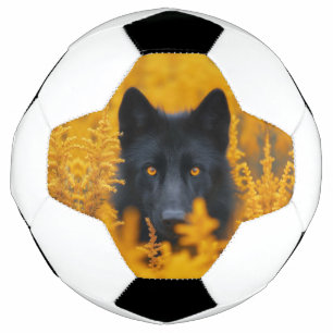 黒い犬と素晴らし金ゴールド サッカーボール