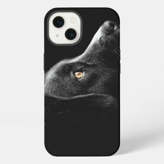 黒い犬を見つめる iPhoneケース (裏面)