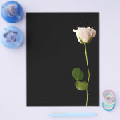 黒い独身の背景に白いバラ チラシ (シングル)