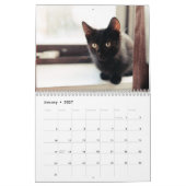 黒い猫ちゃんフォトウォールカレンダー カレンダー (1月 2027)