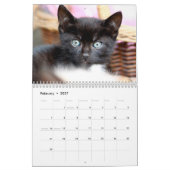 黒い猫ちゃんフォトウォールカレンダー カレンダー (2月 2027)