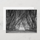 黒い生垣北アイルランド,アントリム ポストカード (正面/裏面)