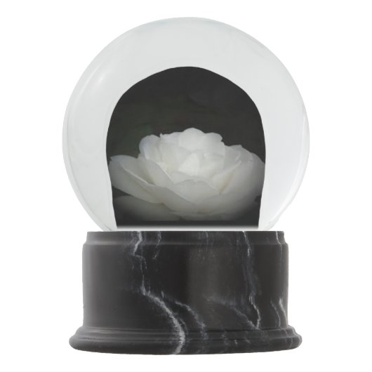 黒い白いバラ スノーグローブ (正面)