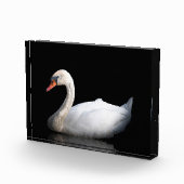 黒い白鳥 フォトブロック (右)
