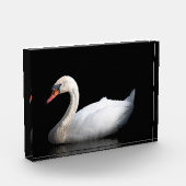 黒い白鳥 フォトブロック (左)