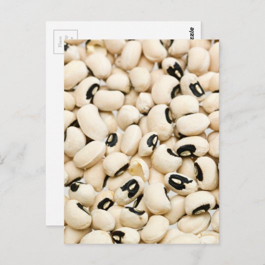 黒い目のエンドウ ポストカード (正面/裏面)