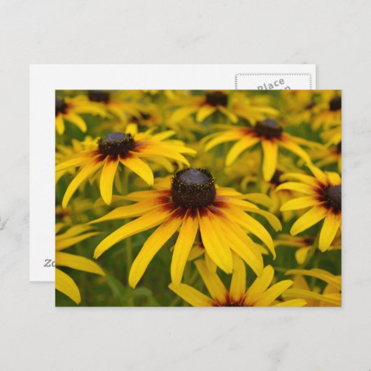 黒い目のササンズ視点ポストカード ポストカード (正面/裏面)