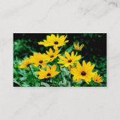 黒い目のササンプロフィール 名刺 (裏面)