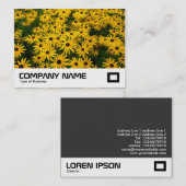 黒い目のサザンズ(Rudbeckia Hirta) 名刺 (正面/裏面)