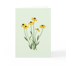 黒い目のスーサンの花