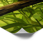 黒い目のスーザンとワゴンホイールの写真 ポスター (角)