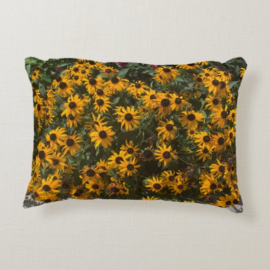 黒い目のスーザンの花，フローラ，写真 アクセントクッション (裏面)