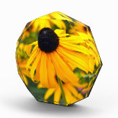 黒い目のスーザンアクリル写真ブロック フォトブロック (右)