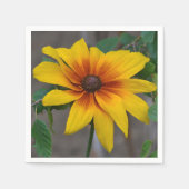 黒い目のスーザンナプキン スタンダードカクテルナプキン (正面)