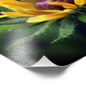 黒い目のスーザンフラワー展開8x10 フォトプリント            (角)