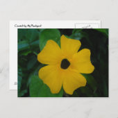 黒い目のスーザンポストカード ポストカード (正面/裏面)