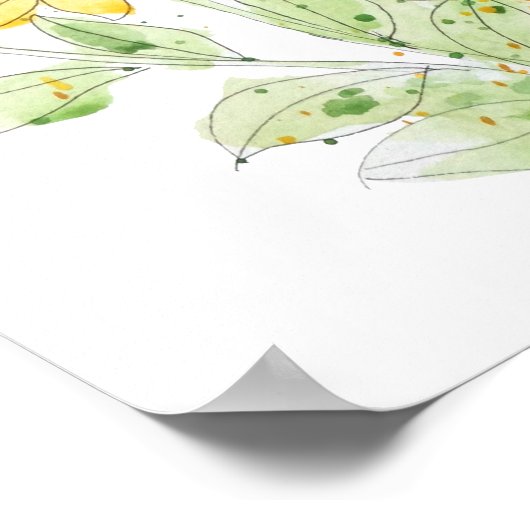 黒い目のスーザン水絵画色 ポスター (角)