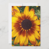 黒い目のスーザン空白のフラワーカード (正面)