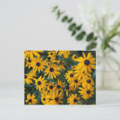 黒い目のスーザン花はがき ポストカード (スタンド正面)