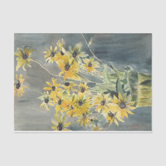 黒い目のスーザン花瓶の水色 薄葉紙 (正面)