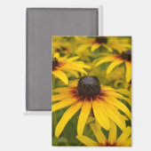 黒い目のスーザン花 マグネット (正面/裏面)