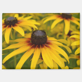 黒い目のスーザン花 マグネット