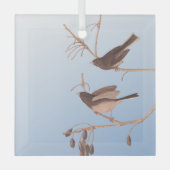 黒い目のユンコ・アウドゥボン裸枝に雪の鳥 ガラスオーナメント (正面)