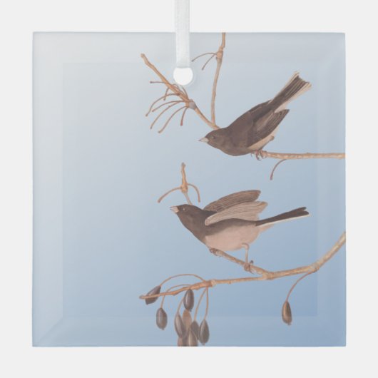 黒い目のユンコ・アウドゥボン裸枝に雪の鳥 ガラスオーナメント (正面)