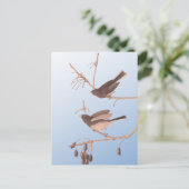 黒い目のユンコ・アウドゥボン裸枝に雪の鳥 ポストカード (スタンド正面)