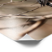 黒い目のユンコ フォトプリント            (角)