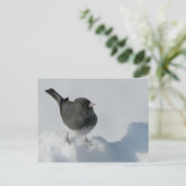 黒い目のユンコ ポストカード (スタンド正面)