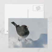 黒い目のユンコ ポストカード (正面/裏面)