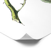 黒い目のユンコ – John James Audubon ポスター (角)