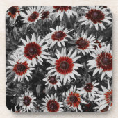 黒い目素晴らしのササンズコースター コースター (正面)