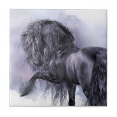 黒い真珠の芸術のタイル タイル (正面)