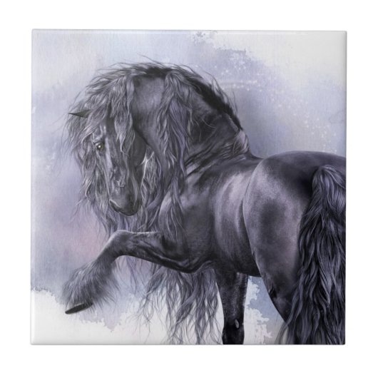 黒い真珠の芸術のタイル タイル (正面)