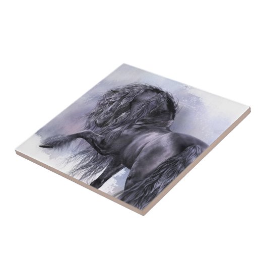 黒い真珠の芸術のタイル タイル (側面)