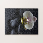 黒い石の上の白い蘭 ジグソーパズル (横)